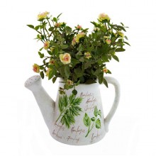 Декор ПОЛЕВОН-ЛЕЙКА